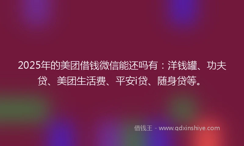 2025年的美团借钱微信能还吗有：洋钱罐、功夫贷、美团生活费、平安i贷、随身贷等。