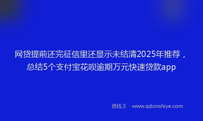 网贷提前还完征信里还显示未结清2025年推荐，总结5个支付宝花呗逾期万元快速贷款app