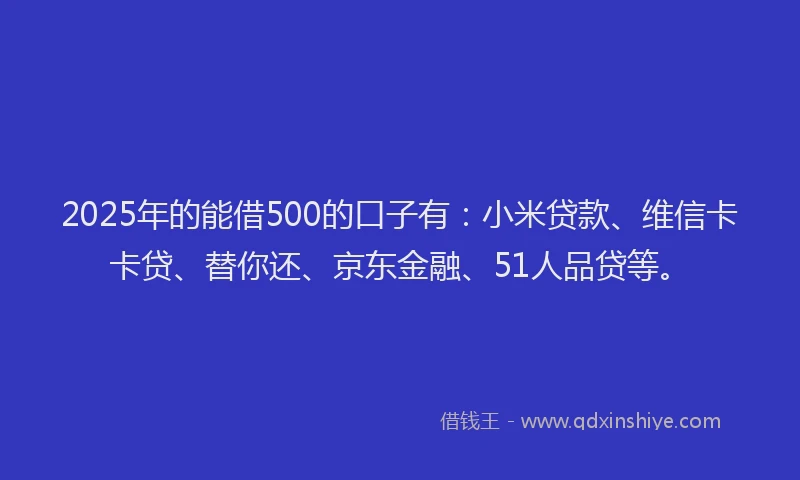 2025年的能借500的口子有：小米贷款、维信卡卡贷、替你还、京东金融、51人品贷等。