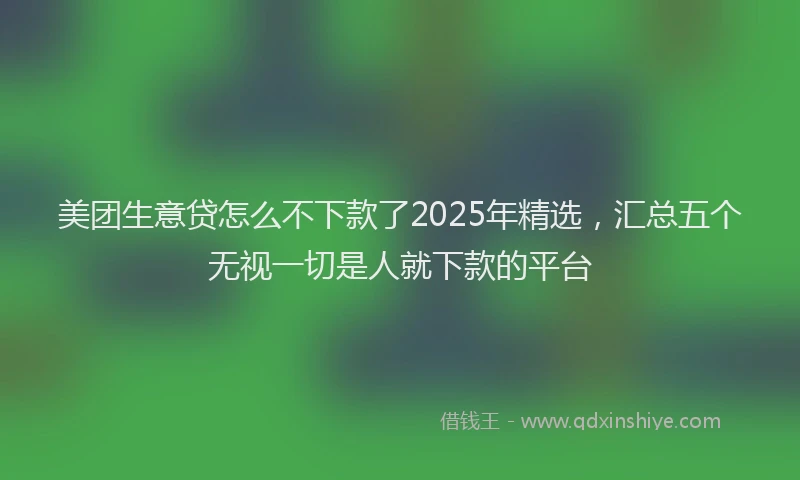 美团生意贷怎么不下款了2025年精选，汇总五个无视一切是人就下款的平台