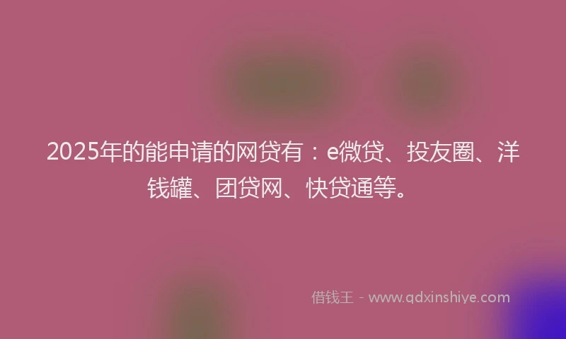 2025年的能申请的网贷有：e微贷、投友圈、洋钱罐、团贷网、快贷通等。