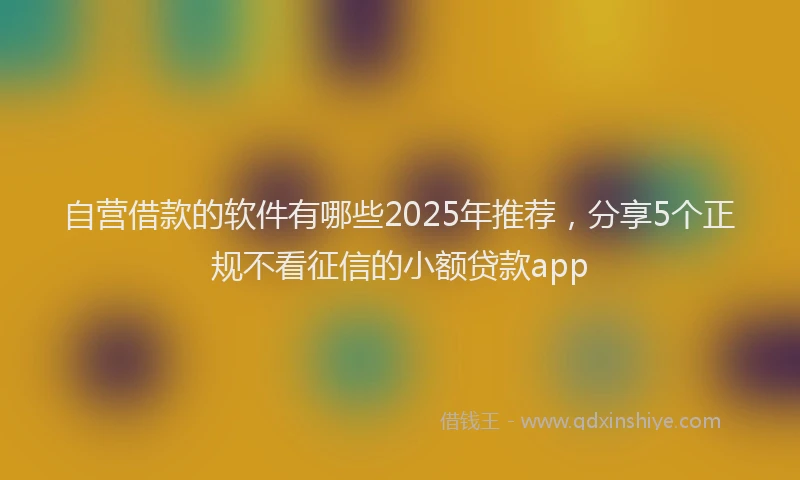 自营借款的软件有哪些2025年推荐，分享5个正规不看征信的小额贷款app