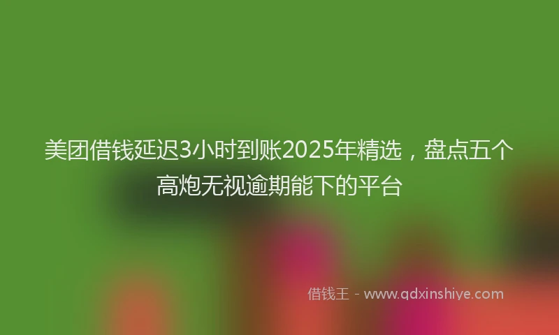 美团借钱延迟3小时到账2025年精选，盘点五个高炮无视逾期能下的平台