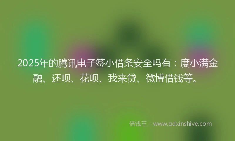 2025年的腾讯电子签小借条安全吗有：度小满金融、还呗、花呗、我来贷、微博借钱等。