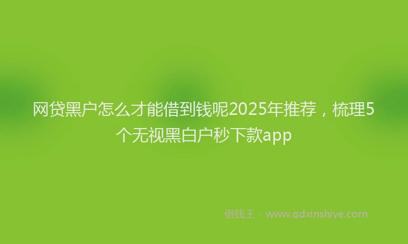 网贷黑户怎么才能借到钱呢2025年推荐，梳理5个无视黑白户秒下款app