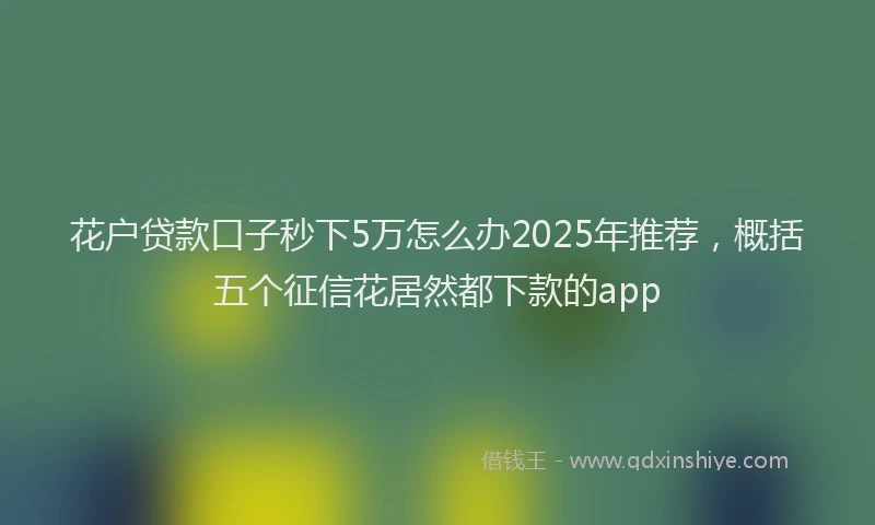 花户贷款口子秒下5万怎么办2025年推荐，概括五个征信花居然都下款的app