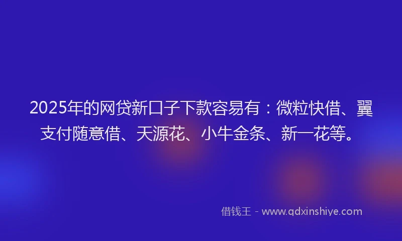 2025年的网贷新口子下款容易有：微粒快借、翼支付随意借、天源花、小牛金条、新一花等。
