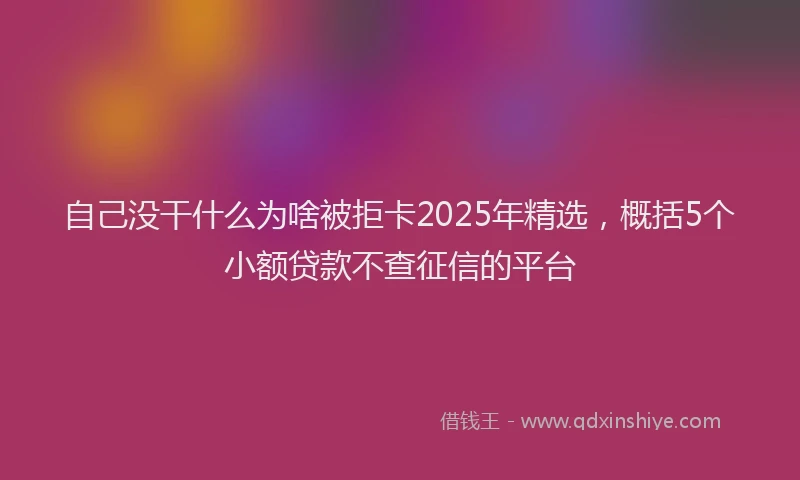 自己没干什么为啥被拒卡2025年精选，概括5个小额贷款不查征信的平台