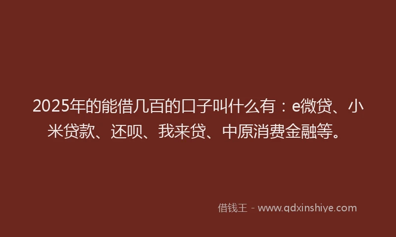 2025年的能借几百的口子叫什么有：e微贷、小米贷款、还呗、我来贷、中原消费金融等。