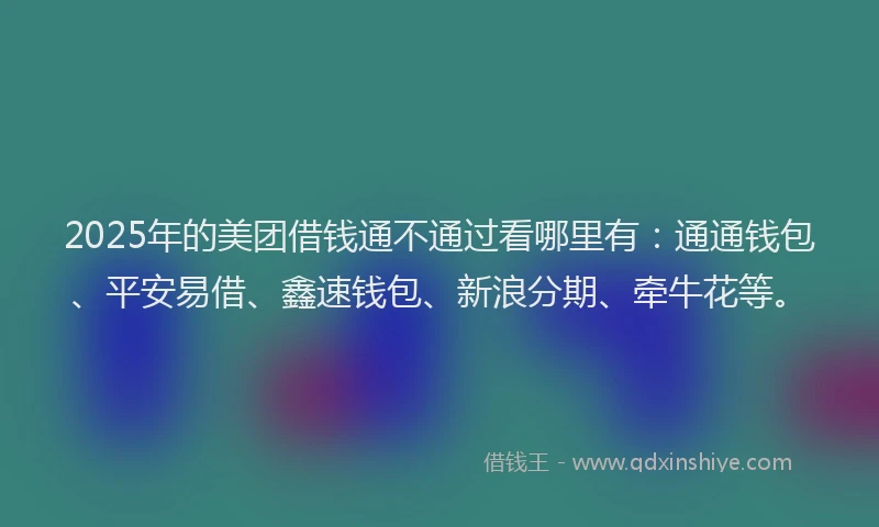 2025年的美团借钱通不通过看哪里有：通通钱包、平安易借、鑫速钱包、新浪分期、牵牛花等。