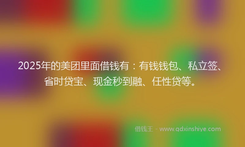 2025年的美团里面借钱有：有钱钱包、私立签、省时贷宝、现金秒到融、任性贷等。