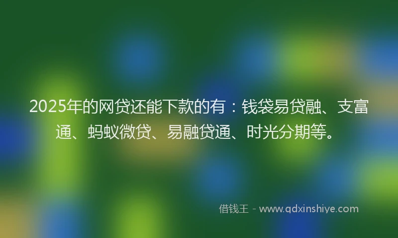 2025年的网贷还能下款的有：钱袋易贷融、支富通、蚂蚁微贷、易融贷通、时光分期等。