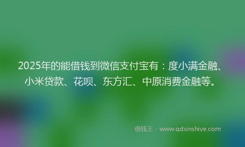 2025年的能借钱到微信支付宝有：度小满金融、小米贷款、花呗、东方汇、中原消费金融等。