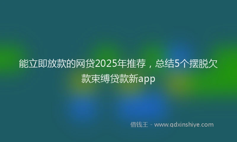 能立即放款的网贷2025年推荐，总结5个摆脱欠款束缚贷款新app