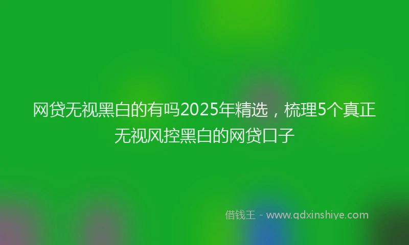 网贷无视黑白的有吗2025年精选，梳理5个真正无视风控黑白的网贷口子