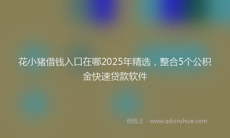 花小猪借钱入口在哪2025年精选，整合5个公积金快速贷款软件