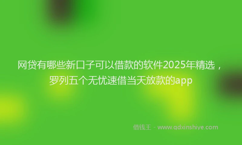 网贷有哪些新口子可以借款的软件2025年精选，罗列五个无忧速借当天放款的app