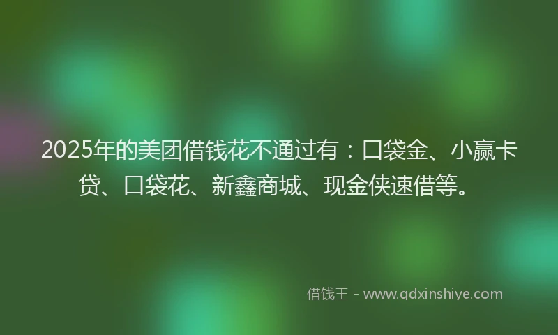 2025年的美团借钱花不通过有：口袋金、小赢卡贷、口袋花、新鑫商城、现金侠速借等。