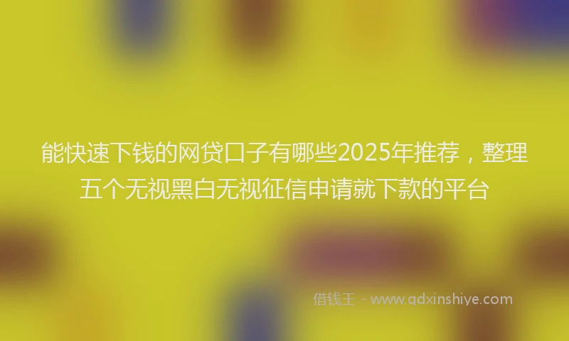 能快速下钱的网贷口子有哪些2025年推荐，整理五个无视黑白无视征信申请就下款的平台