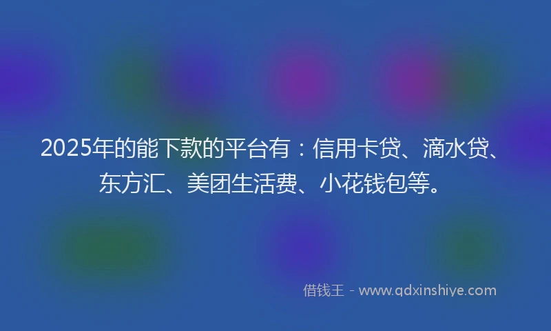 2025年的能下款的平台有：信用卡贷、滴水贷、东方汇、美团生活费、小花钱包等。