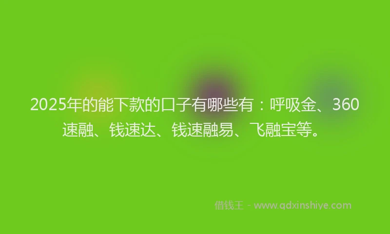 2025年的能下款的口子有哪些有：呼吸金、360速融、钱速达、钱速融易、飞融宝等。