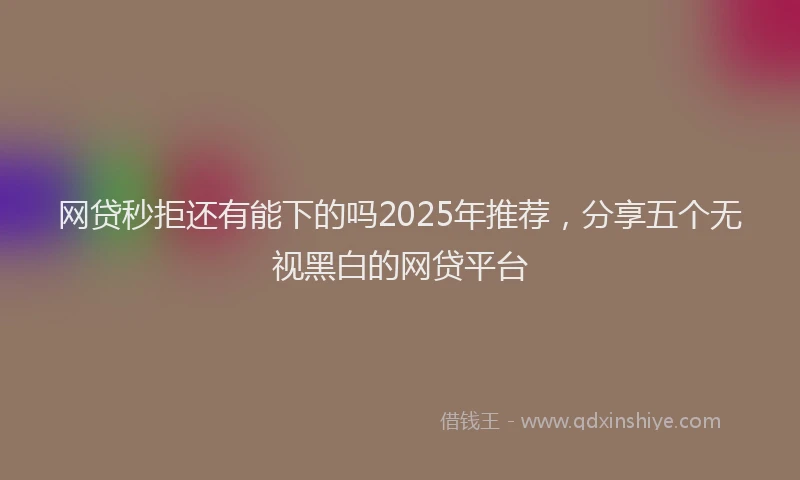 网贷秒拒还有能下的吗2025年推荐，分享五个无视黑白的网贷平台