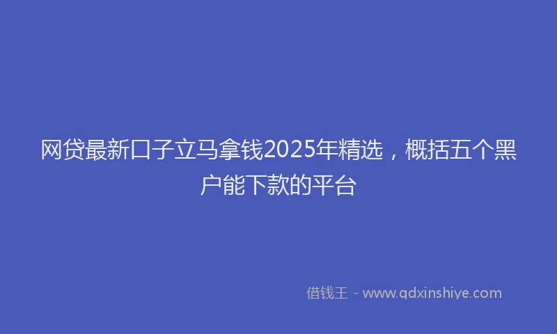网贷最新口子立马拿钱2025年精选，概括五个黑户能下款的平台
