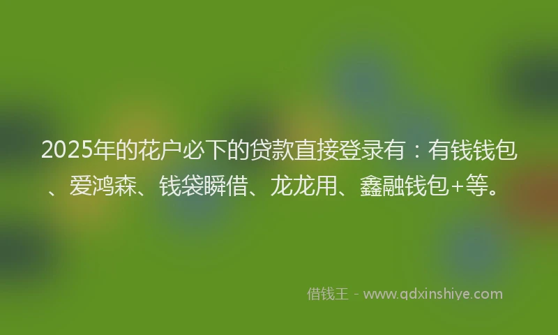 2025年的花户必下的贷款直接登录有：有钱钱包、爱鸿森、钱袋瞬借、龙龙用、鑫融钱包+等。