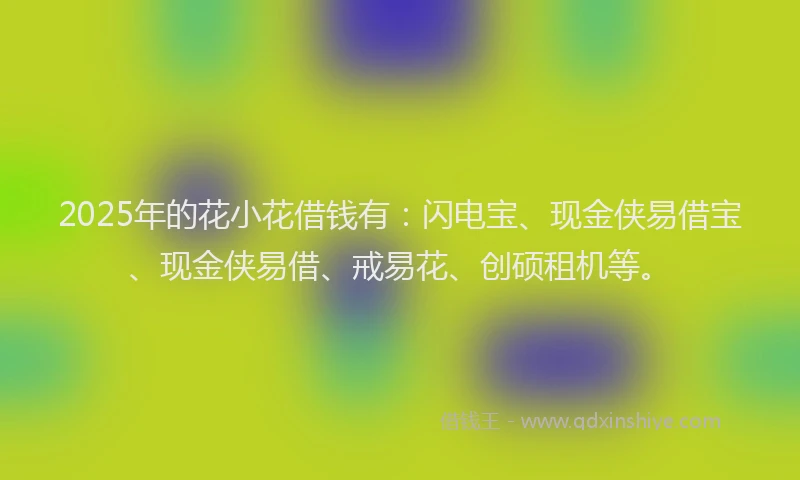 2025年的花小花借钱有：闪电宝、现金侠易借宝、现金侠易借、戒易花、创硕租机等。