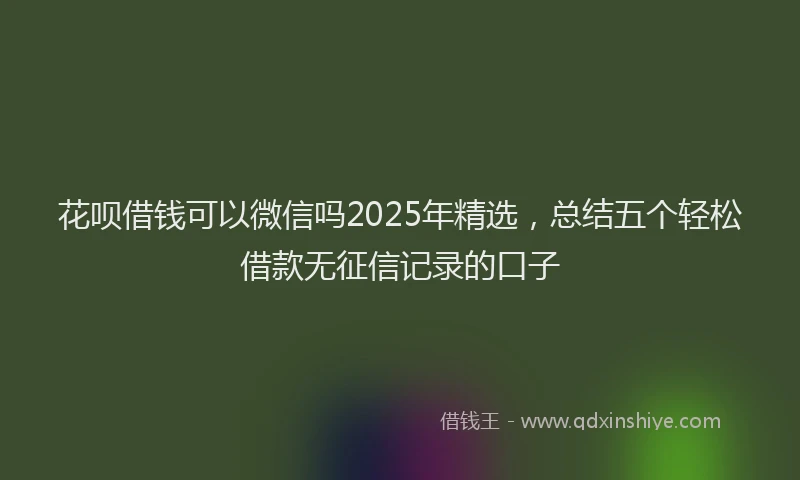 花呗借钱可以微信吗2025年精选，总结五个轻松借款无征信记录的口子