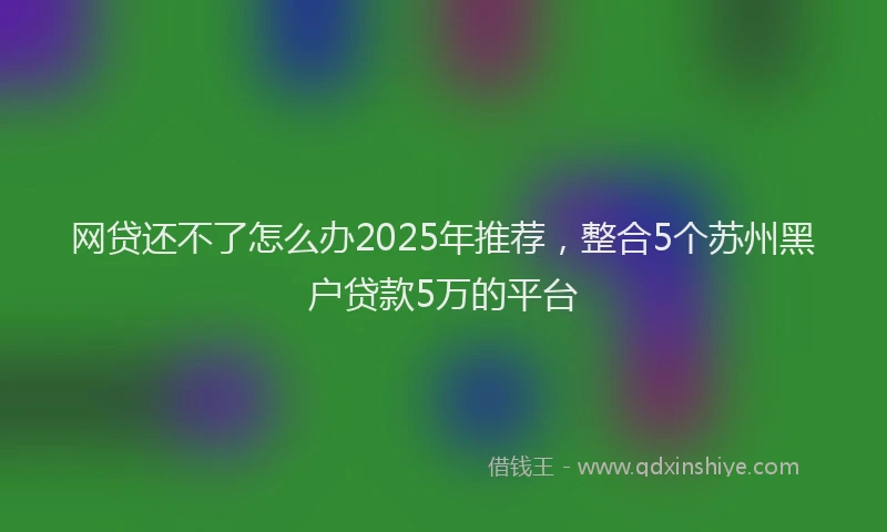网贷还不了怎么办2025年推荐，整合5个苏州黑户贷款5万的平台