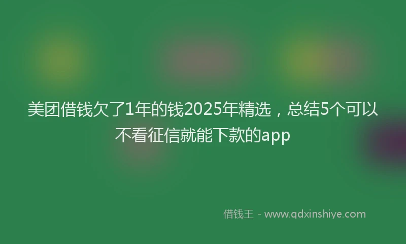 美团借钱欠了1年的钱2025年精选，总结5个可以不看征信就能下款的app