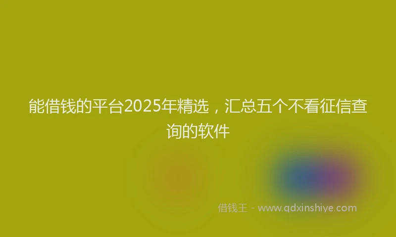 能借钱的平台2025年精选，汇总五个不看征信查询的软件