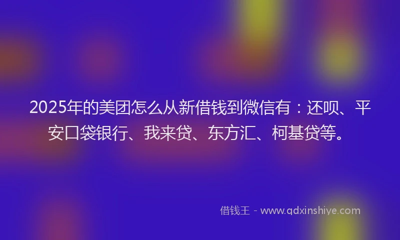 2025年的美团怎么从新借钱到微信有：还呗、平安口袋银行、我来贷、东方汇、柯基贷等。