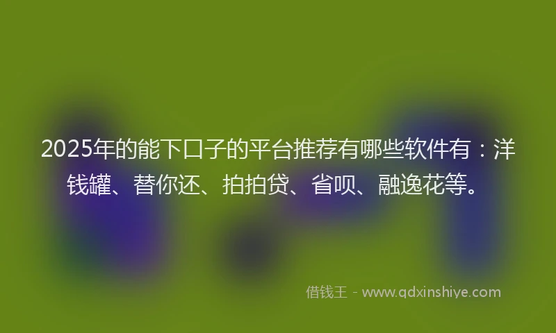2025年的能下口子的平台推荐有哪些软件有：洋钱罐、替你还、拍拍贷、省呗、融逸花等。
