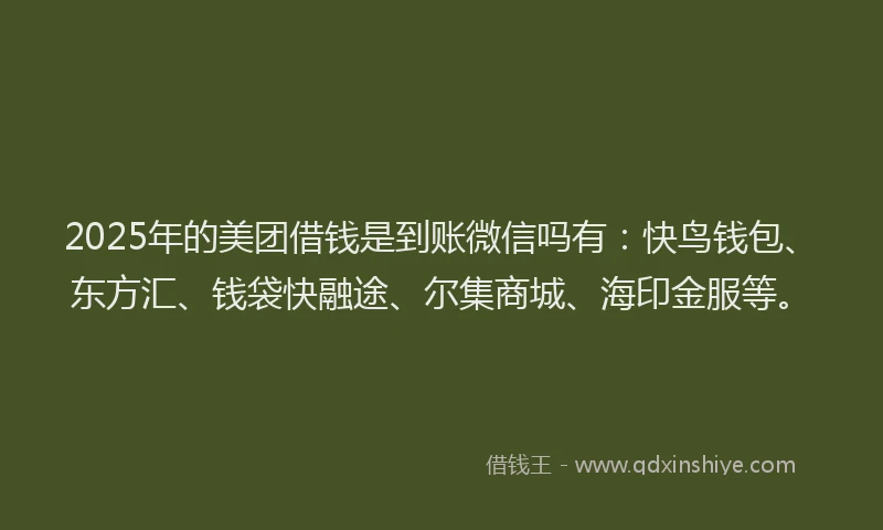 2025年的美团借钱是到账微信吗有：快鸟钱包、东方汇、钱袋快融途、尔集商城、海印金服等。