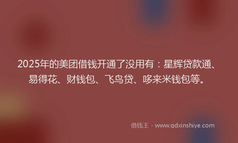 2025年的美团借钱开通了没用有:星辉贷款通、易得花、财钱包、飞鸟贷、哆来米钱包等。