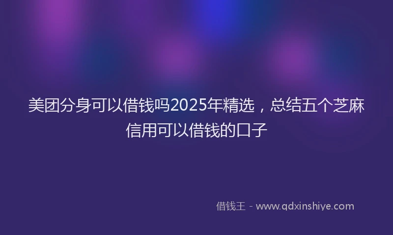 美团分身可以借钱吗2025年精选，总结五个芝麻信用可以借钱的口子