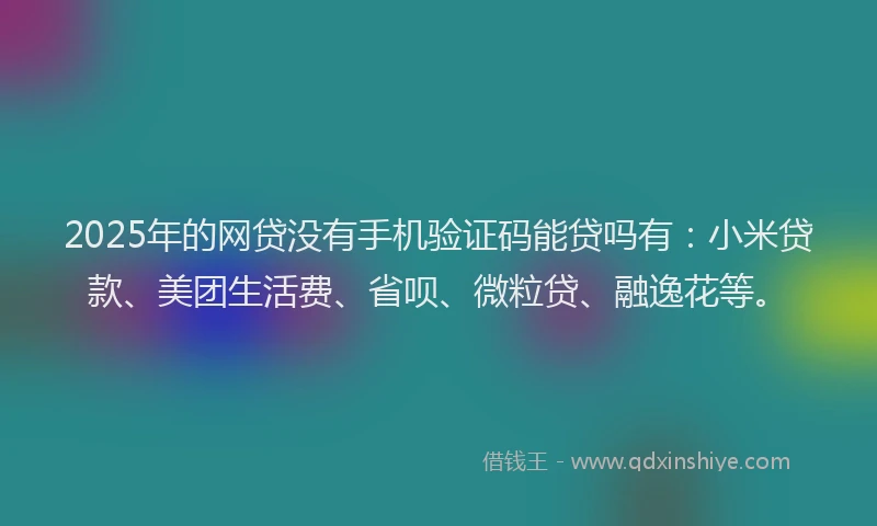 2025年的网贷没有手机验证码能贷吗有：小米贷款、美团生活费、省呗、微粒贷、融逸花等。