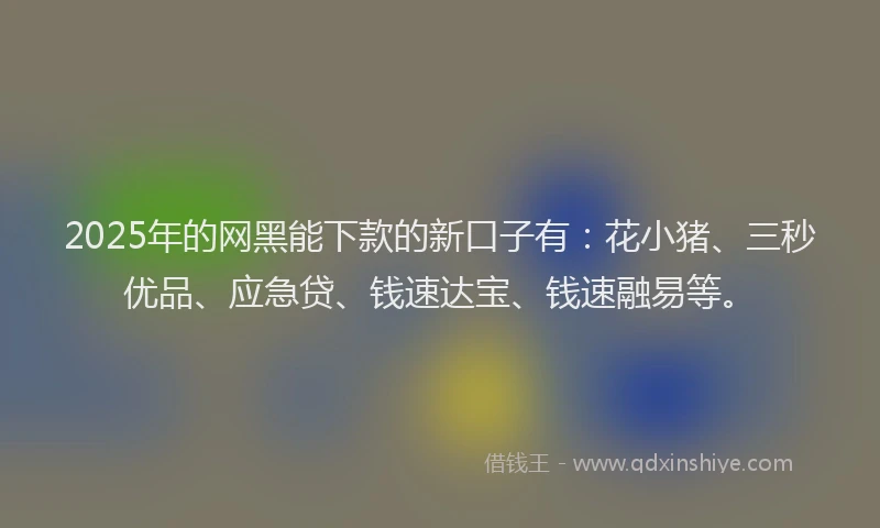 2025年的网黑能下款的新口子有：花小猪、三秒优品、应急贷、钱速达宝、钱速融易等。