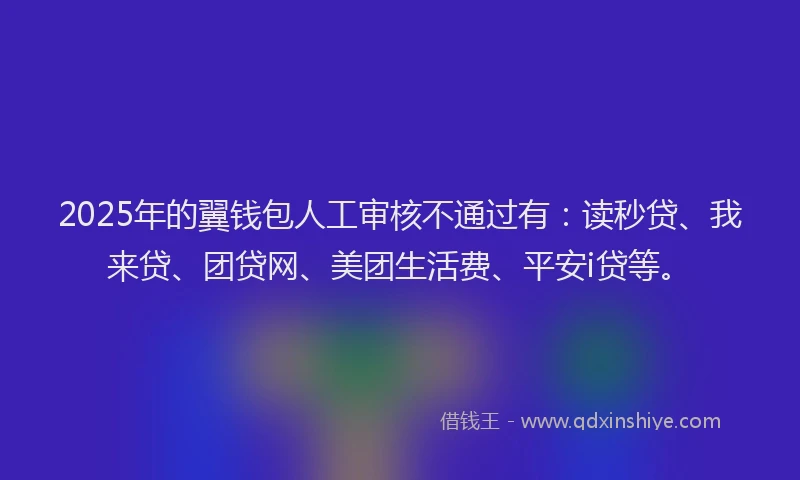 2025年的翼钱包人工审核不通过有：读秒贷、我来贷、团贷网、美团生活费、平安i贷等。