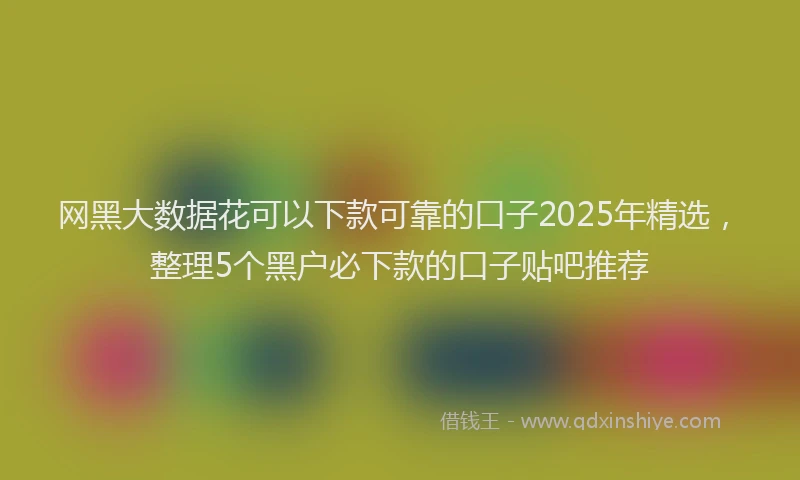 网黑大数据花可以下款可靠的口子2025年精选，整理5个黑户必下款的口子贴吧推荐