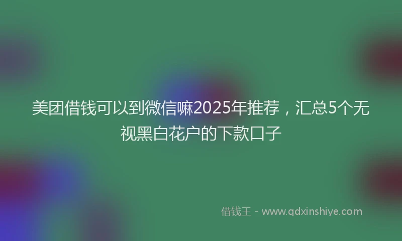 美团借钱可以到微信嘛2025年推荐，汇总5个无视黑白花户的下款口子