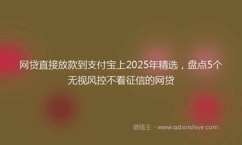 网贷直接放款到支付宝上2025年精选，盘点5个无视风控不看征信的网贷