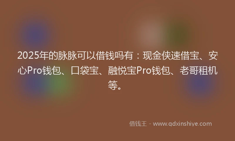 2025年的脉脉可以借钱吗有：现金侠速借宝、安心Pro钱包、口袋宝、融悦宝Pro钱包、老哥租机等。