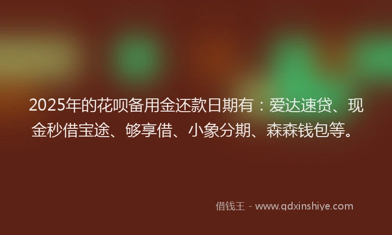 2025年的花呗备用金还款日期有：爱达速贷、现金秒借宝途、够享借、小象分期、森森钱包等。