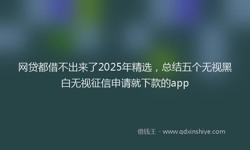 网贷都借不出来了2025年精选，总结五个无视黑白无视征信申请就下款的app