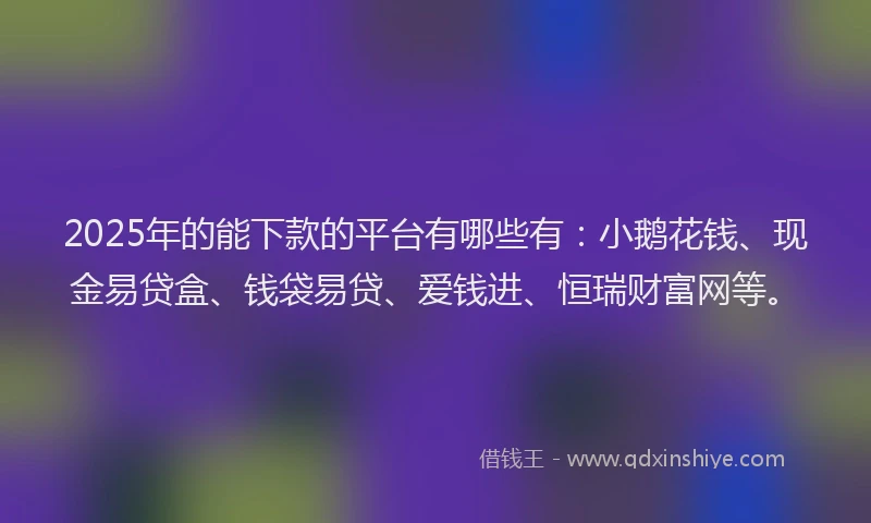 2025年的能下款的平台有哪些有：小鹅花钱、现金易贷盒、钱袋易贷、爱钱进、恒瑞财富网等。