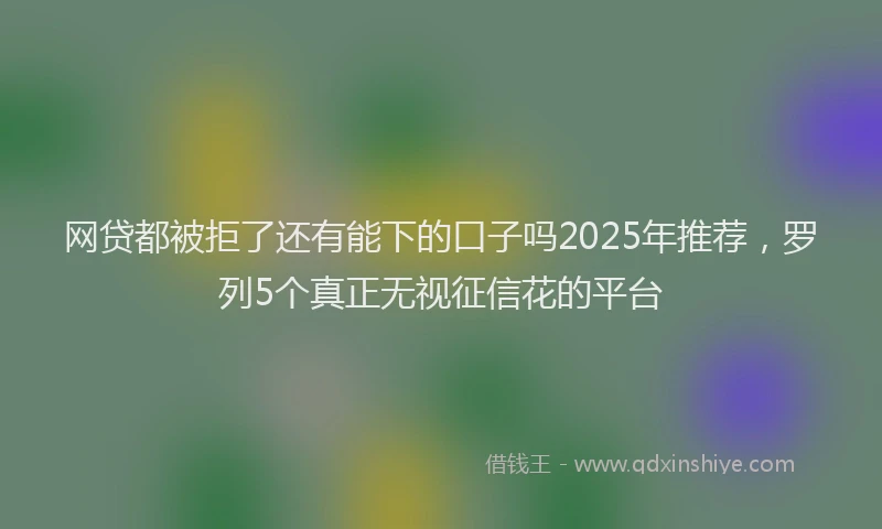 网贷都被拒了还有能下的口子吗2025年推荐，罗列5个真正无视征信花的平台