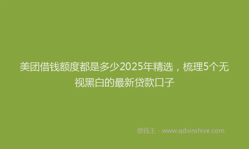 美团借钱额度都是多少2025年精选，梳理5个无视黑白的最新贷款口子